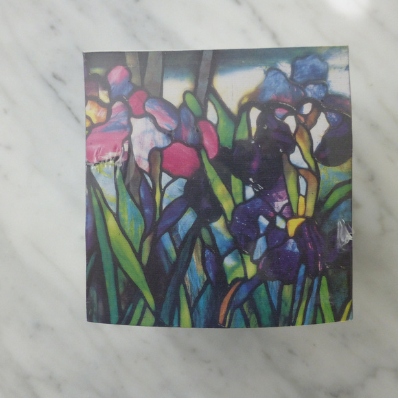 Metropolitan Museum of Art Other - Tiffany Irises Note Cube Pad